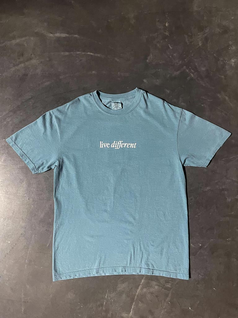 Are You Really Living Tee - Slate Blue