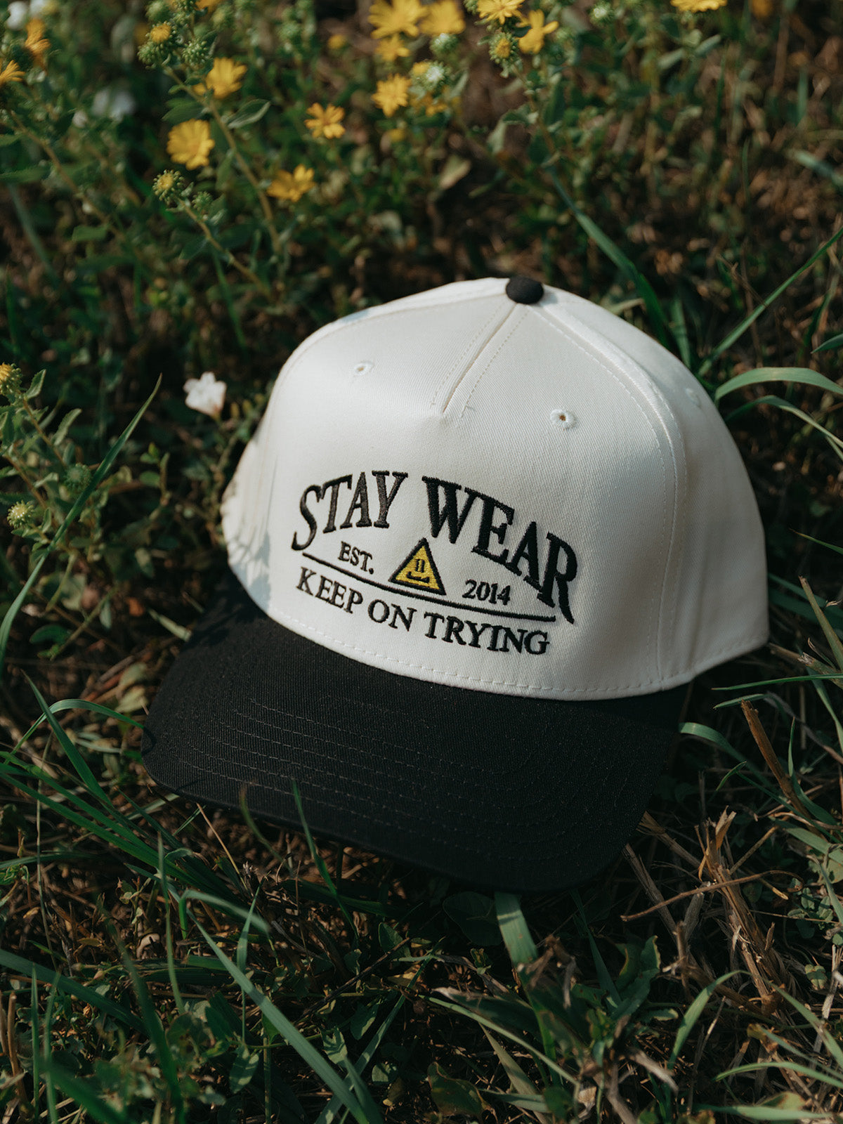 Established Hat - Natural/Black