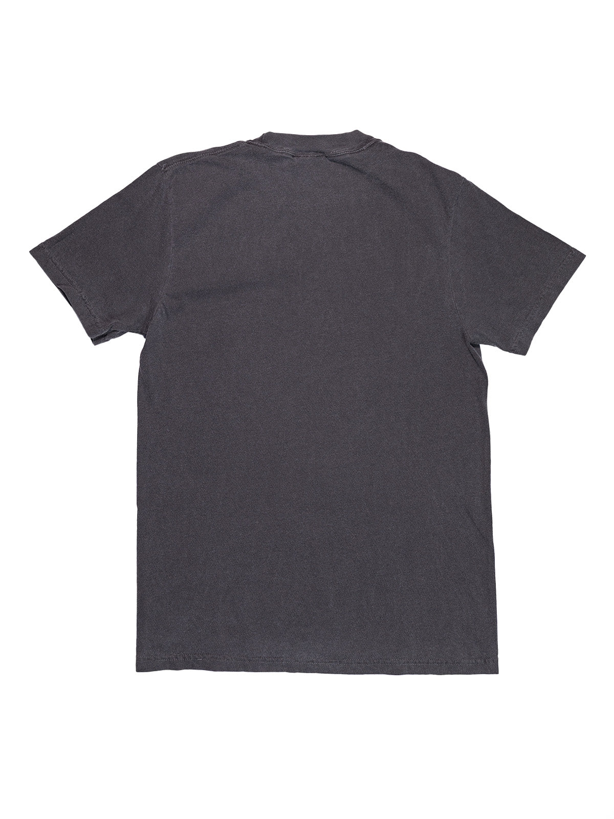 Chronic Dreamer Tee - Pepper
